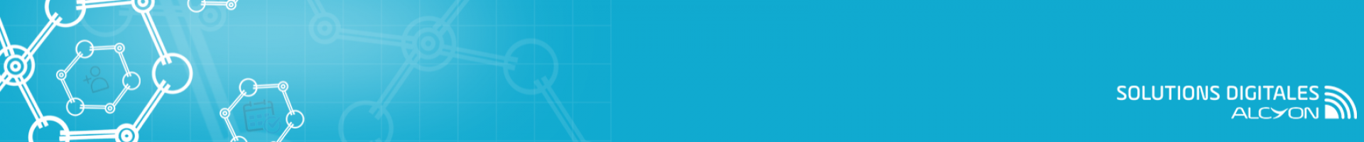 ALCYON SOLUTIONS DIGITALES